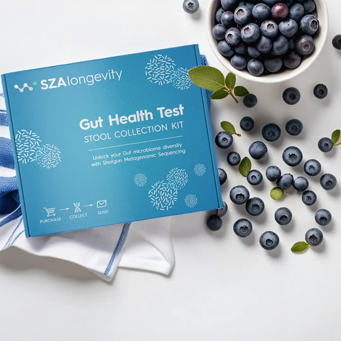 Gut Health Test