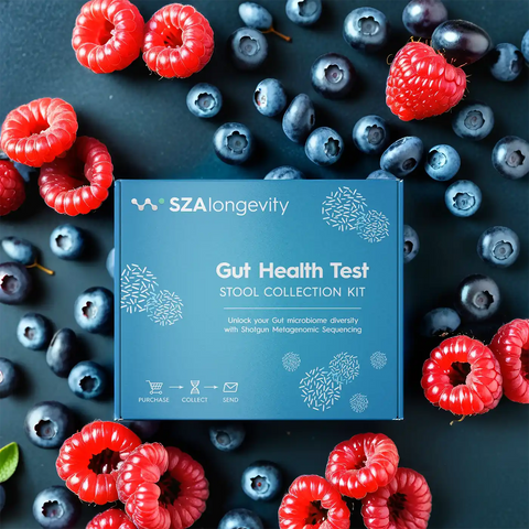 Gut Health Test